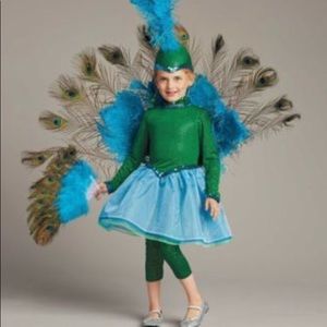 Chasing fireflies/Wishcraft peacock costume